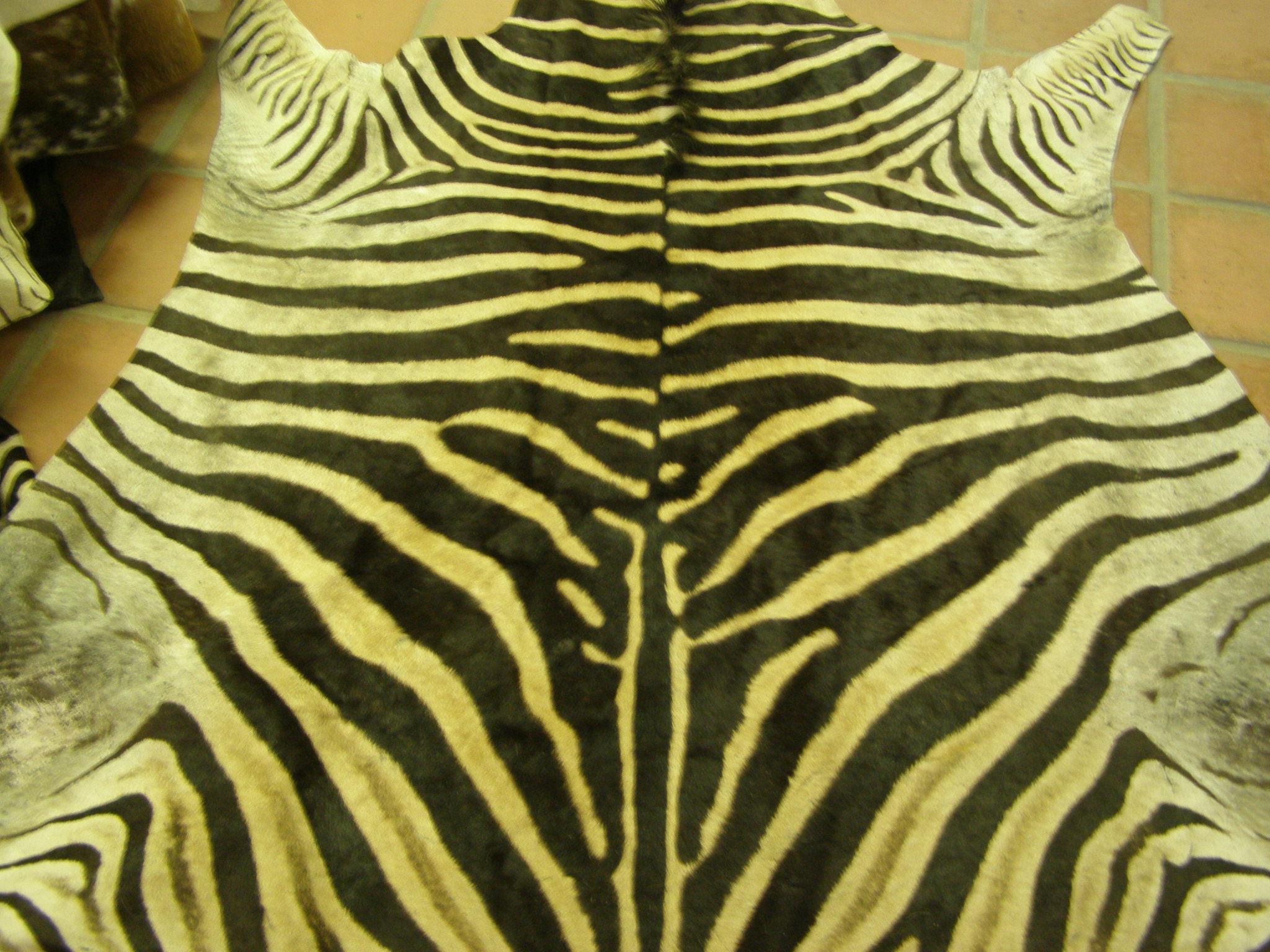 GST zebra